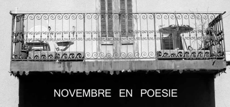 « Ombre et lumière » thème du mois de novembre de l’apéro-poétique confiné!